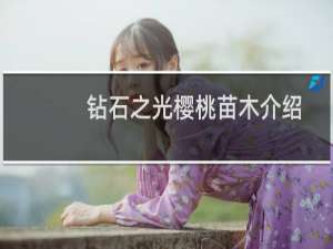 钻石之光樱桃苗木介绍