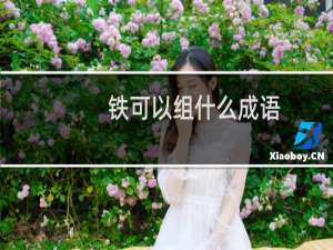 铁可以组什么成语