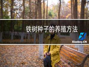 铁树种子的养殖方法