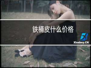 铁桶皮什么价格