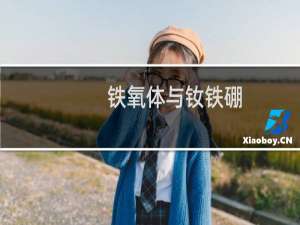 铁氧体与钕铁硼