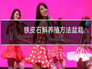 铁皮石斛养殖方法盆栽