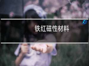 铁红磁性材料