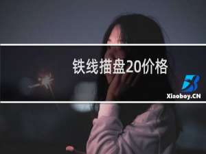 铁线描盘 价格