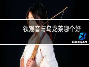 铁观音与乌龙茶哪个好
