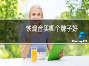 铁观音买哪个牌子好