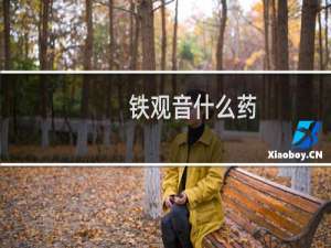 铁观音什么药