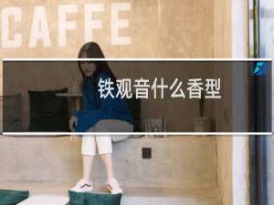 铁观音什么香型