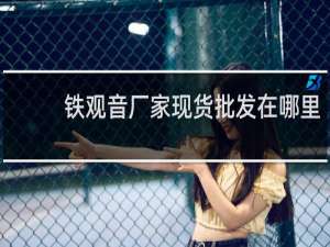 铁观音厂家现货批发在哪里