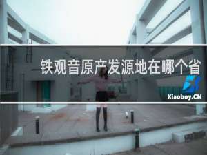 铁观音原产发源地在哪个省