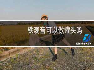 铁观音可以做罐头吗
