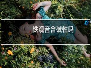 铁观音含碱性吗