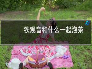 铁观音和什么一起泡茶