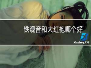 铁观音和大红袍哪个好