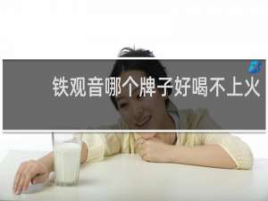 铁观音哪个牌子好喝不上火