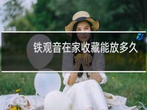 铁观音在家收藏能放多久