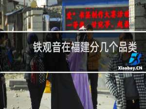 铁观音在福建分几个品类