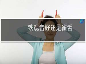 铁观音好还是雀舌