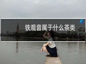 铁观音属于什么茶类