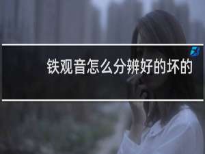 铁观音怎么分辨好的坏的