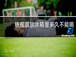 铁观音放冰箱里多久不能喝