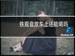 铁观音放车上还能喝吗