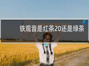 铁观音是红茶 还是绿茶