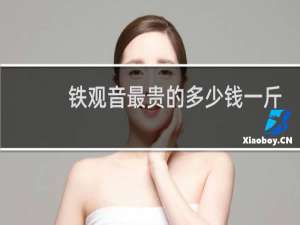 铁观音最贵的多少钱一斤