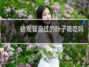 铁观音泡过的叶子能吃吗