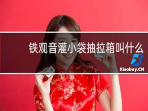 铁观音灌小袋抽拉箱叫什么