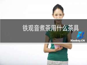 铁观音煮茶用什么茶具