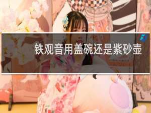 铁观音用盖碗还是紫砂壶