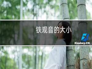 铁观音的大小