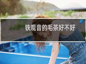 铁观音的毛茶好不好