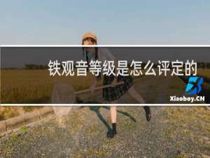 铁观音等级是怎么评定的