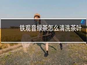 铁观音绿茶怎么清洗茶叶