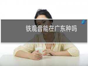 铁观音能在广东种吗