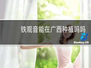 铁观音能在广西种植吗吗
