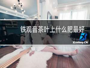 铁观音茶叶上什么肥最好