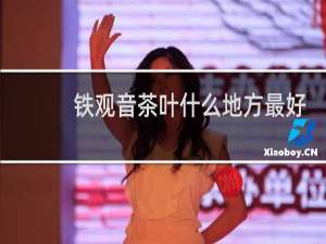 铁观音茶叶什么地方最好