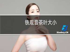 铁观音茶叶大小