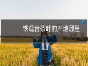 铁观音茶叶的产地哪里