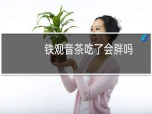 铁观音茶吃了会胖吗