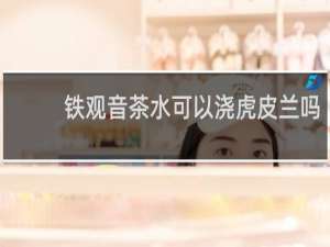 铁观音茶水可以浇虎皮兰吗