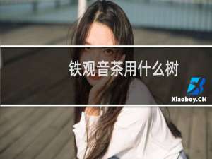 铁观音茶用什么树