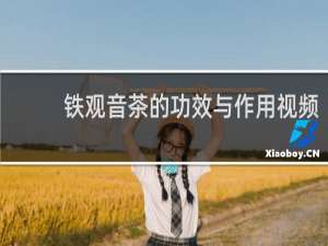 铁观音茶的功效与作用视频
