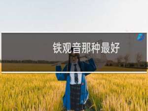 铁观音那种最好