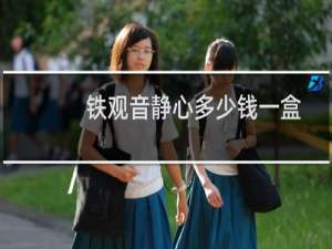 铁观音静心多少钱一盒