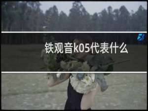 铁观音k05代表什么