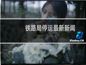 铁路局停运最新新闻